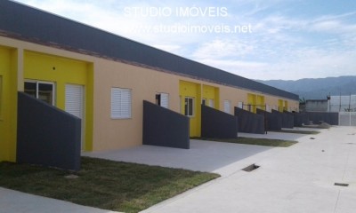 12347.jpg