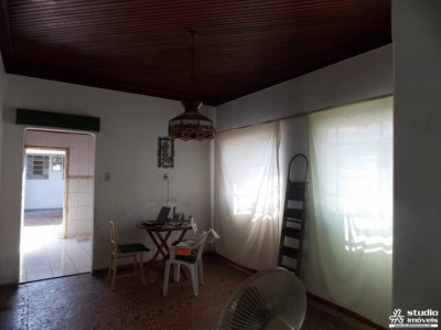 10330.jpg