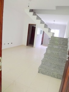 2555.jpg