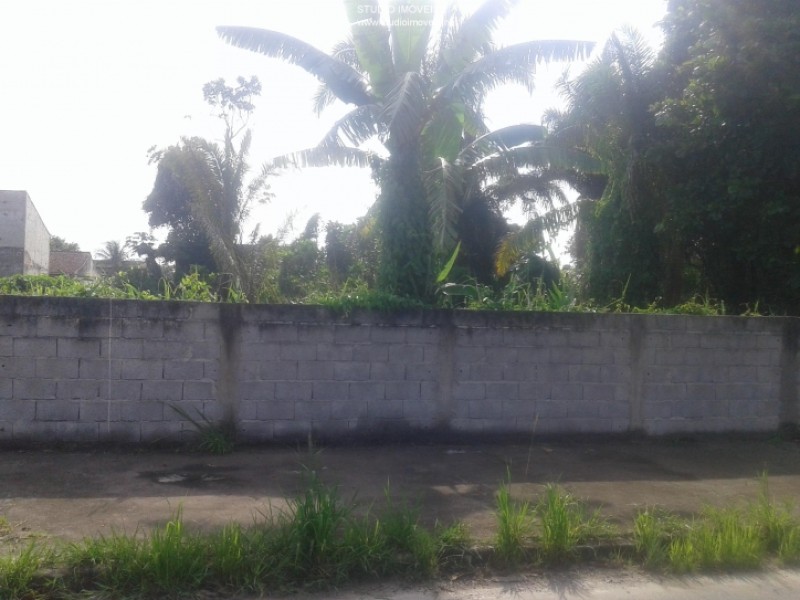 11990.jpg