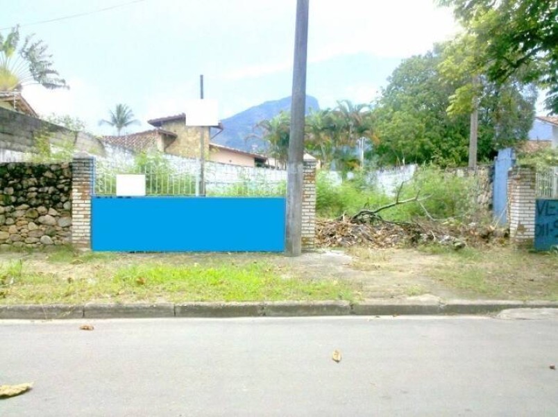 3195.jpg