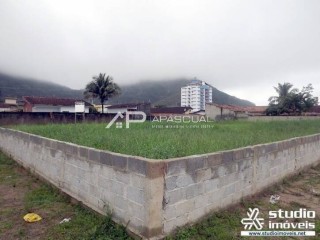 Área - Martim de Sá
