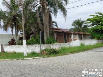 4909.jpg