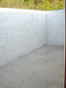1146.jpg