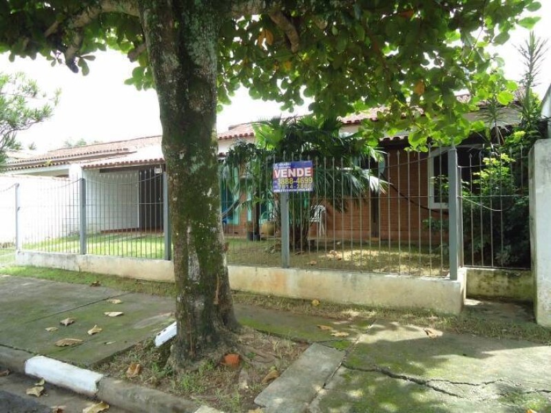 555.jpg