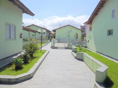 559.jpg