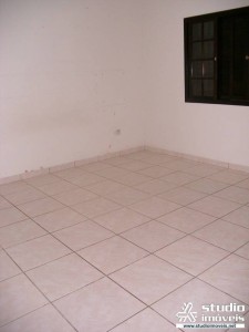 3546.jpg
