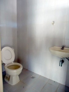 3146.jpg