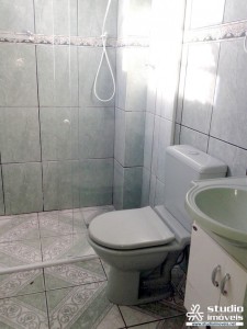 8781.jpg