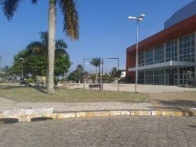 8287.jpg