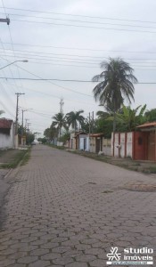9702.jpg