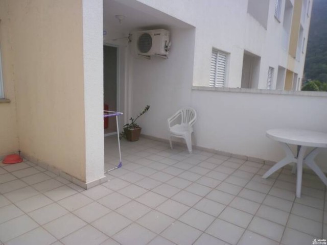 8706.jpg