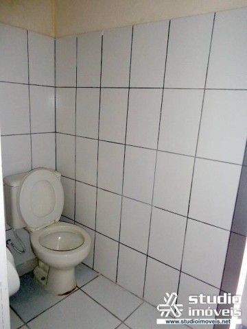 9019.jpg
