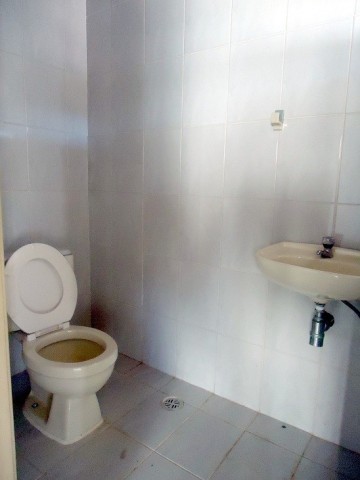 3146.jpg