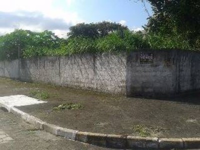 8290.jpg