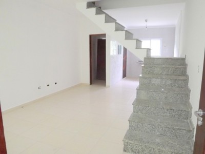 2554.jpg