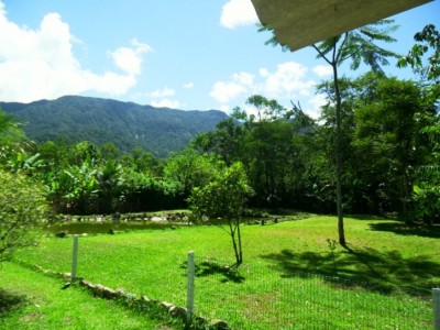 896.jpg