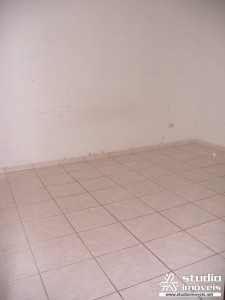 3525.jpg
