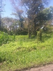 Excelente Terreno para Construir na Praia da Massaguaçu