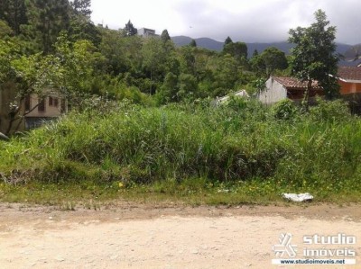7134.jpg