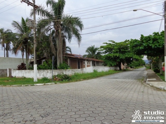 4908.jpg
